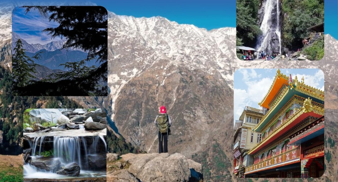 1WhatsApp Image 2025-07-04 at 14.35.07_5dbcd260.jpg